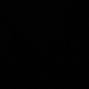 Meet your Posher, Lee